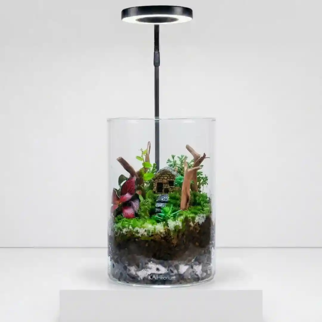 The Woodland Retreat